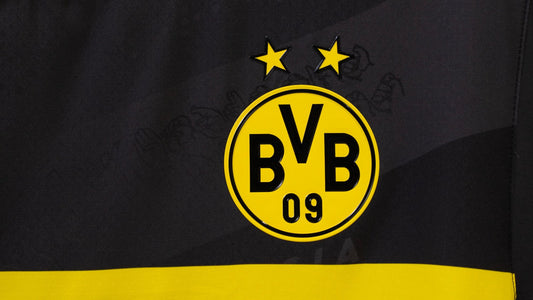 Camisola Alternativa Borussia Dortmund 24/25