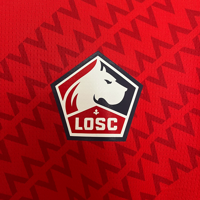 Home Kit LOSC Lille 24/25