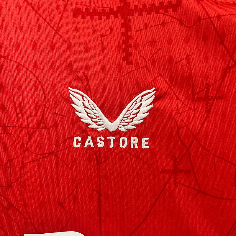 Main Jersey Tottenham 24/25